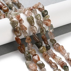 Natural Rutilated Quartz Beads Strands&nbsp;G-P497-01C-19