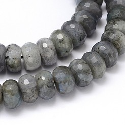 Natural Labradorite Rondelle Bead Strands&nbsp;G-O095-05-G