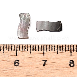 Natural Black Lip Shell Cabochons&nbsp;SSHEL-T017-05