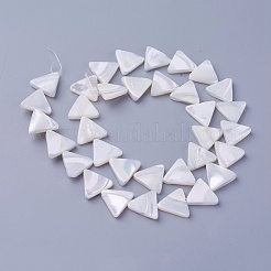 Shell Beads Strands&nbsp;SSHEL-E571-28A