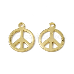 Rack Plating Brass Charms&nbsp;KK-C007-08G
