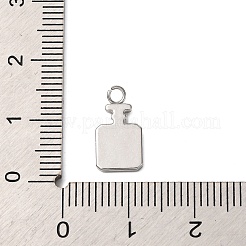 304 Stainless Steel Charms&nbsp;STAS-Z167-02P-10