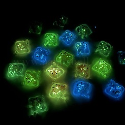 Luminous Transparent Acrylic Pendants&nbsp;TACR-F006-01
