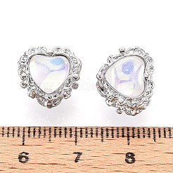 Alloy Glass European Beads&nbsp;FIND-N009-13P