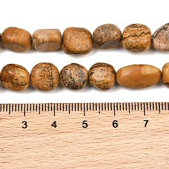 Natural Picture Jasper Beads Strands&nbsp;GG-CBA787B-A31