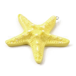 Opaque Resin Big Pendants&nbsp;CRES-D313-01P