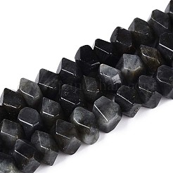 Natural Larvikite Beads Strands&nbsp;G-N327-05-28