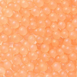 Luminous Glow in the Dark Transparent Glass Round Beads&nbsp;GLAA-F124-B03