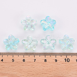 Transparent Acrylic Beads&nbsp;TACR-S154-45C-754
