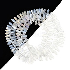 Electroplate Glass Beads Strands&nbsp;EGLA-C005-01A-AB01