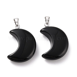 Natural Obsidian Pendants&nbsp;G-Z022-02L