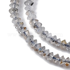 Natural Labradorite Beads Strands&nbsp;G-G188-A01-01