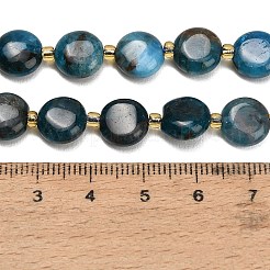 Natural Apatite Beads Strands&nbsp;G-H005-B14-01