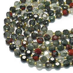 Natural African Bloodstone Beads Strands&nbsp;G-C116-A33-02