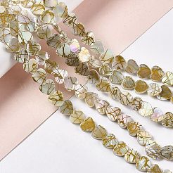 Drawbench Style Natural Freshwater Shell Beads Strands&nbsp;SHEL-F003-03