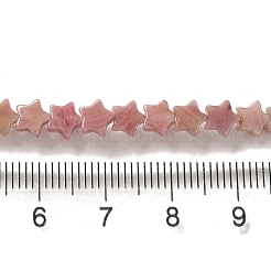 Natural Rhodonite Beads Strands&nbsp;G-G085-B34-02
