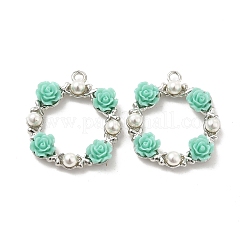 Alloy Pendants&nbsp;PALLOY-E014-06P
