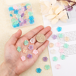 180Pcs 6 Colors Transparent Resin Cabochons&nbsp;CRES-CA0001-21