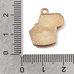 Alloy with Enamel Pendants&nbsp;AL-CBA9E11-03KCG-03