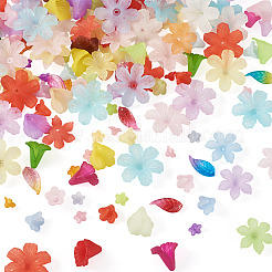 230Pcs 6 Styles Transparent Acrylic Beads&nbsp;OACR-TA0004-39
