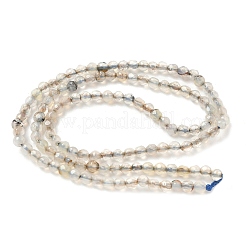Natural Agate Beads Strands&nbsp;G-H302-A04-01