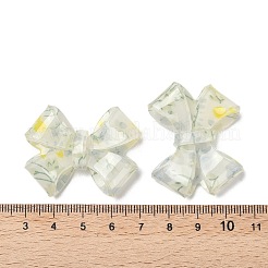 Transparent Printed Acrylic Cabochons&nbsp;OACR-M008-01B