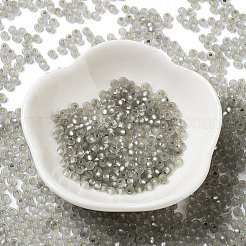 8/0 Glass Seed Beads&nbsp;SEED-Z001-C-E13