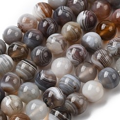 Natural Botswana Agate Beads Strands&nbsp;G-H334-A01-03