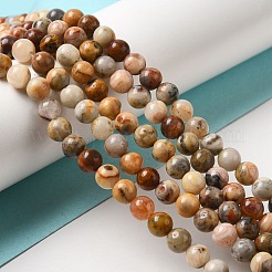 Natural Crazy Lace Agate Round Bead Strands&nbsp;G-M272-03-6mm