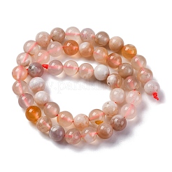 Natural Cherry Blossom Agate Beads Strands&nbsp;G-B130-8mm-02