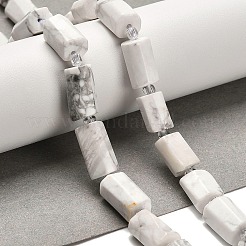 Natural Howlite Beads Strands&nbsp;G-K245-I22-01