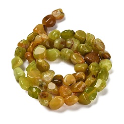 Natural Yellow Green Opal Beads Strands&nbsp;G-P497-01E-34A