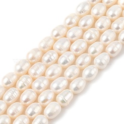 Natural Cultured Freshwater Pearl Beads Strands&nbsp;PEAR-I007-01C-06A