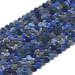 Natural Lapis Lazuli Beads Strands&nbsp;G-M403-A43-02