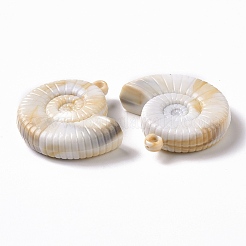 Acrylic Pendants&nbsp;OACR-C011-27