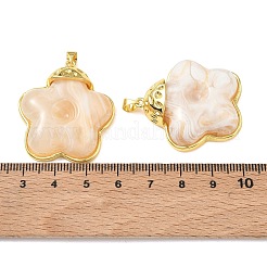 Brass & Resin Pendants&nbsp;KK-A303-04G-02