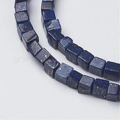 Natural Lapis Lazuli Beads Strands&nbsp;G-G968-H04