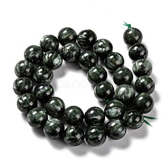 Natural Seraphinite Beads Strands&nbsp;G-E557-22C