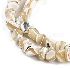 Natural Trochus Shell Beads Strands&nbsp;BSHE-H109-10
