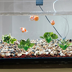 4Pcs 4 Styles Plastic Sea Grass Display Decorations&nbsp;DJEW-GF0001-85