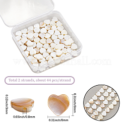 2 Strands Natural Freshwater Shell Beads Strands&nbsp;SHEL-SC0001-85C