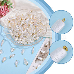 120Pcs 12 Styles ABS Plastic with Acrylic Pearl & Iron Pendants & Connector Charms&nbsp;PALLOY-PH01910