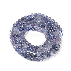 Natural Iolite Beads Strands&nbsp;X-G-N342-32