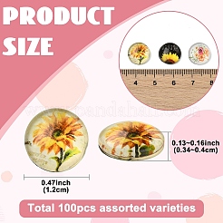 Glass Cabochons&nbsp;GGLA-YW0001-14