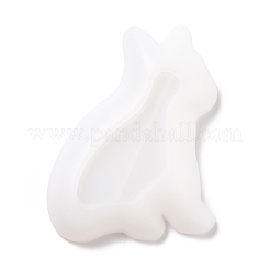 DIY Dish Silicone Molds&nbsp;DIY-P055-01
