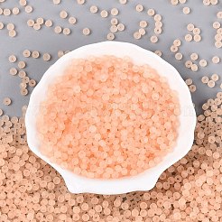FGB Frosted Transparent Glass Seed Beads&nbsp;SEED-N013-04A-03