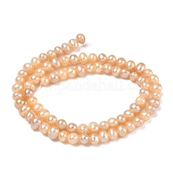 Natural Cultured Freshwater Pearl Beads Strands&nbsp;PEAR-L034-02