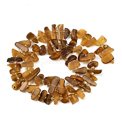 Natural Amber Beads Strands&nbsp;G-P619-A02-01