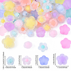 60G 4 Styles Frosted Transparent Acrylic Beads&nbsp;OACR-YW0002-66