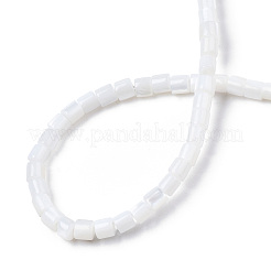 Natural Freshwater Shell Beads Strands&nbsp;SHEL-N034-29A-01